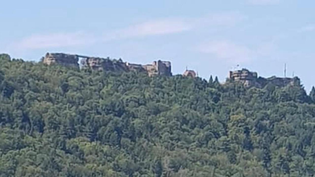 Casasavernoise O Sonho Appart2 Saverne Eksteriør billede
