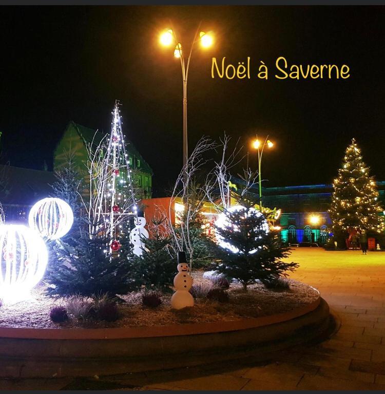 Casasavernoise O Sonho Appart2 Saverne Eksteriør billede